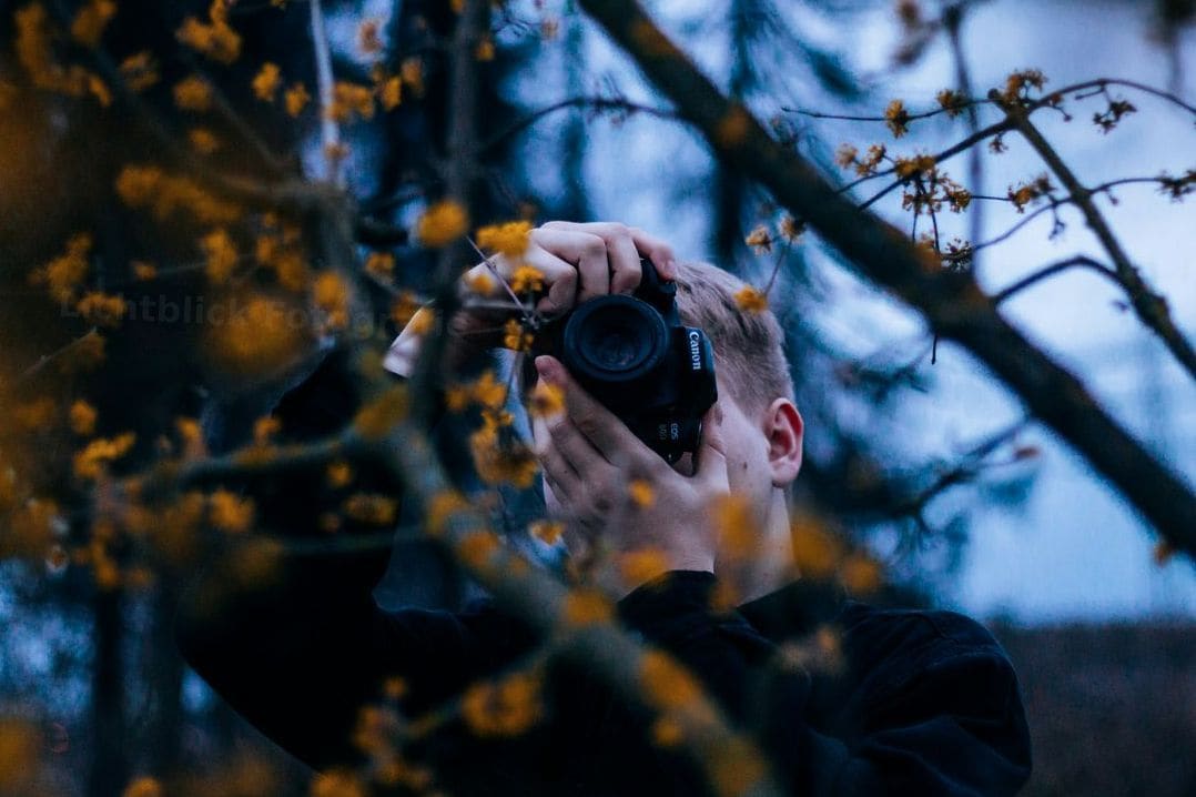 Lichtblick Fotografie